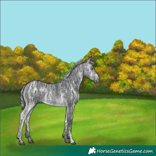 Horse Color:Silver Brown Chinchilla Ice Rabicano 