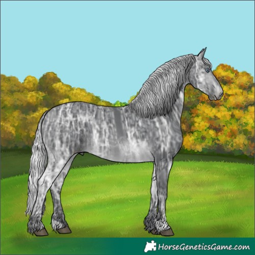 Horse Color:Silver Brown Chinchilla Ice Rabicano 