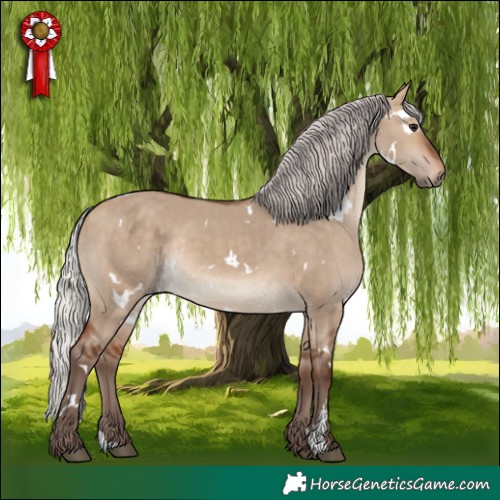 Horse Color:White Spotted Silver Bay Dun Rabicano 