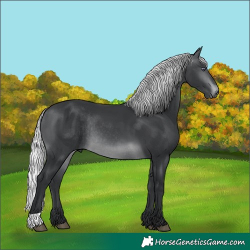 Horse Color:Silver Brown Chinchilla Rabicano