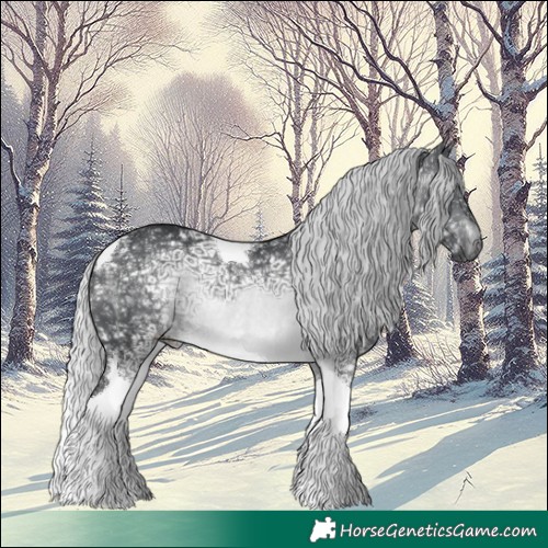 Horse Color:Silver Brown Chinchilla Ice Tobiano Rabicano 