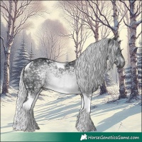 Horse Color:Silver Brown Chinchilla Ice Tobiano Rabicano 