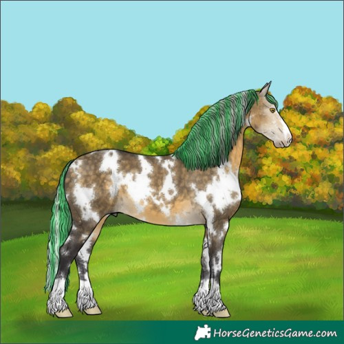 Horse Color:Painted White Spotted Silver Buckskin Dun 