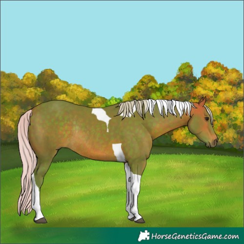 Horse Color:Watercolor Silver Brown Mushroom Tobiano Rabicano 