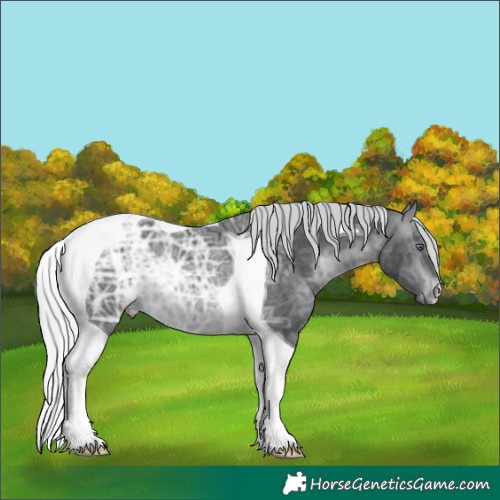 Horse Color:Silver Brown Chinchilla Ice Tobiano Rabicano