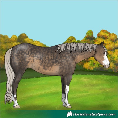 Horse Color:Silver Smoky Black 
