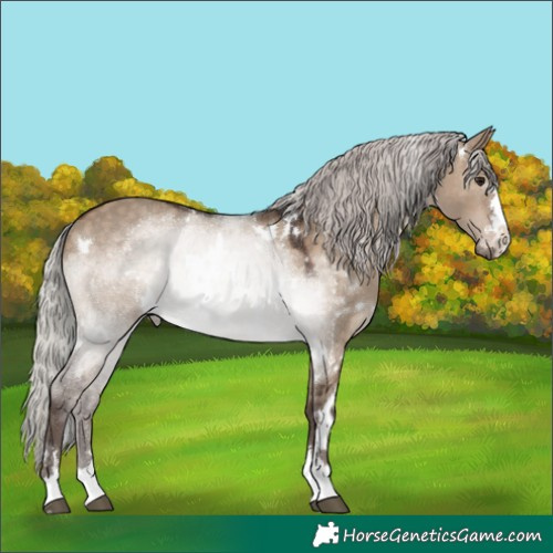 Horse Color:White Spotted Silver Brown Dun Rabicano 