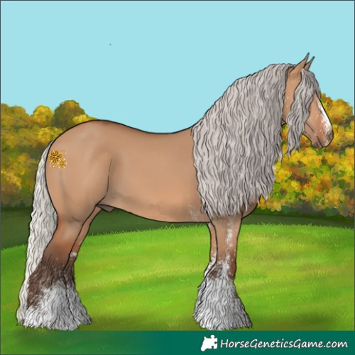 Horse Color:White Spotted Silver Bay Dun Rabicano 