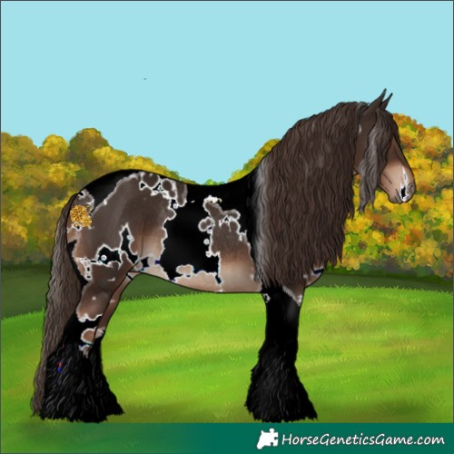 Horse Color:White Spotted Liver Chestnut Tobiano Rabicano 