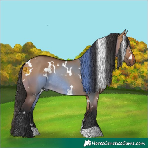 Horse Color:White Spotted Bay Dun Rabicano 