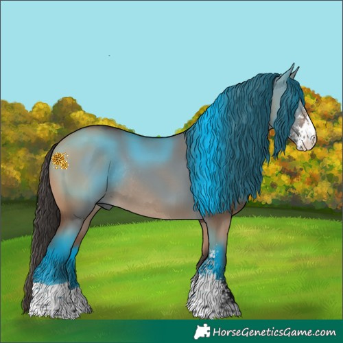 Horse Color:Bay Dun Sabino Tobiano Rabicano