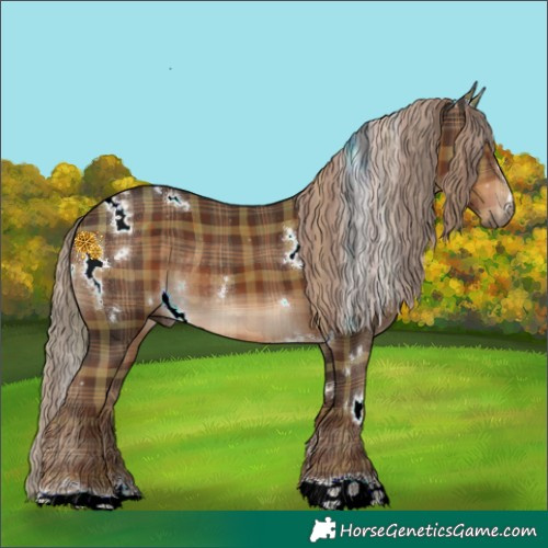 Horse Color:Plaid  White Spotted Liver Chestnut Rabicano 