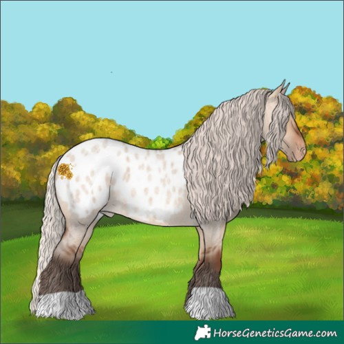 Horse Color:Silver Brown Roan Dun Appaloosa