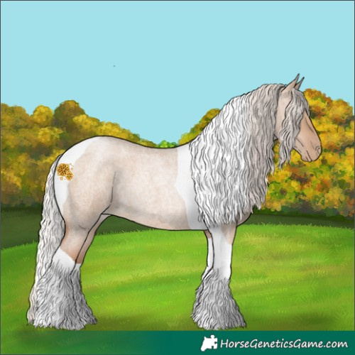 Horse Color:Silver Grullo Roan Pearl Tobiano