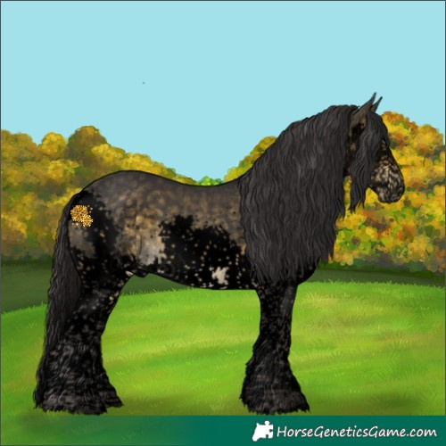 Horse Color:Void Buckskin Splash Tobiano
