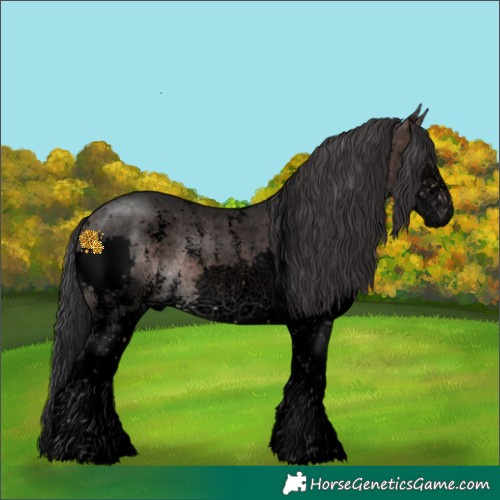 Horse Color:Void Platinum Brown Sabino Splash