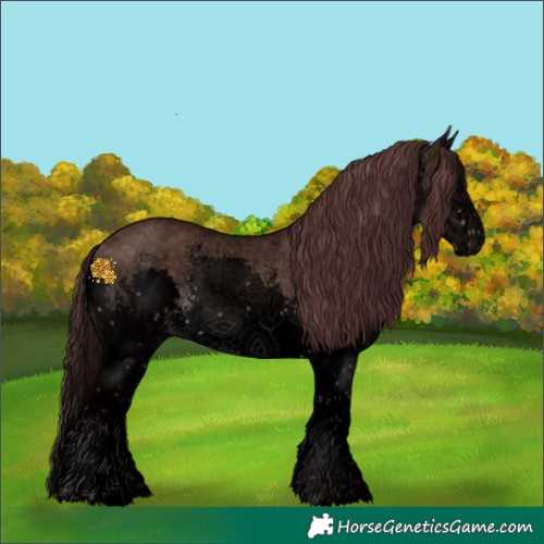 Horse Color:Void White Spotted Chocolate Brown Dun Sabino Splash