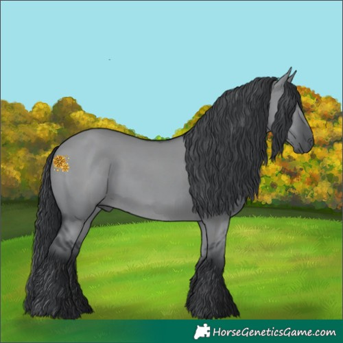 Horse Color:Grullo Chinchilla 