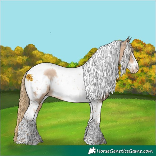 Horse Color:White Spotted Liver Red Dun Pearl Tobiano Frame Rabicano