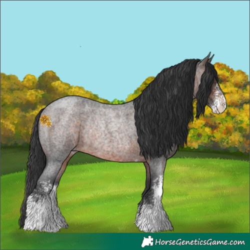 Horse Color:Brown Roan Sabino Rabicano