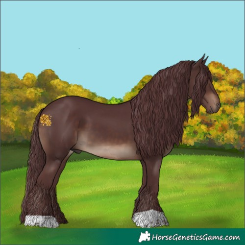 Horse Color:Chocolate Brown