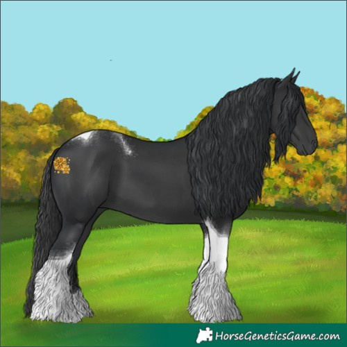 Horse Color:Black Tobiano 