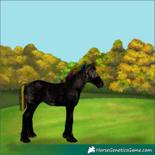 Horse Color:Void Painted White Spotted Chocolate Brown Ice Dun Sabino Splash