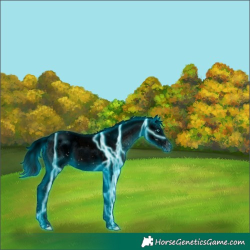 Horse Color:Void Thunderstruck Brown Onyx Sabino Splash Appaloosa 