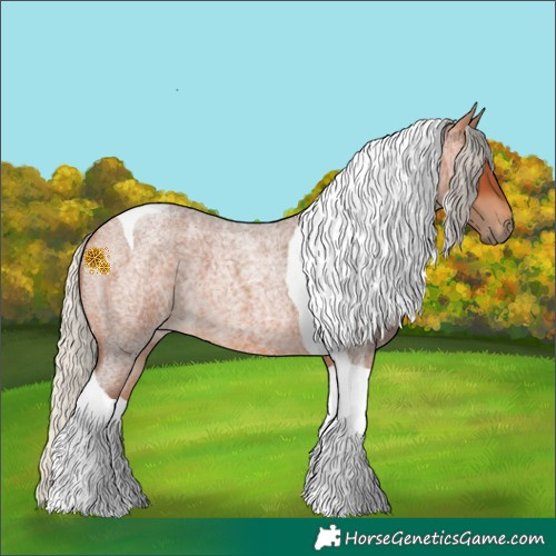 Horse Color:Silver Bay Roan Tobiano