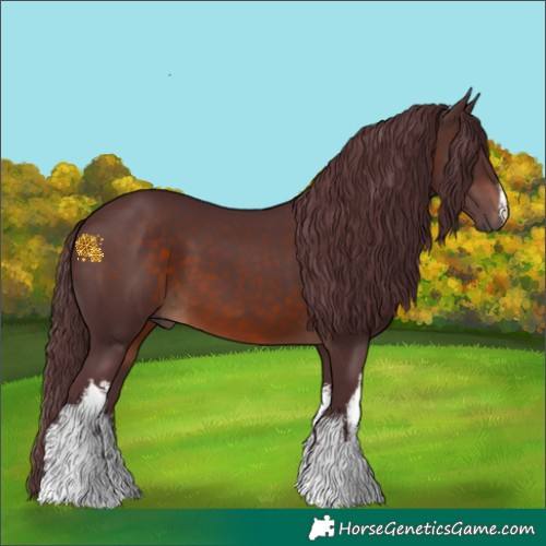 Horse Color:White Spotted Chocolate Brown