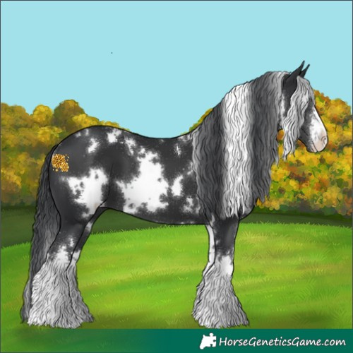Horse Color:White Spotted Black
