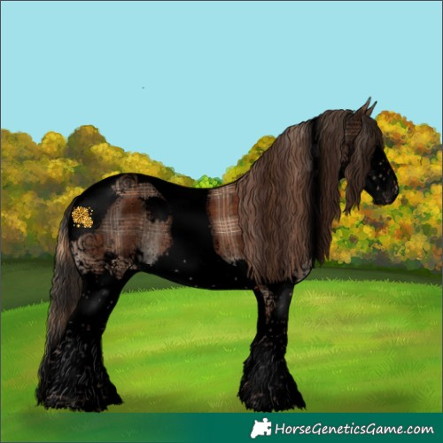 Horse Color:Void Plaid  Liver Chestnut Splash Tobiano Appaloosa 