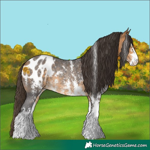 Horse Color:Buckskin Sabino Blanket Rabicano 