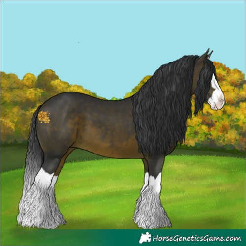 Horse Color:Brown Splash
