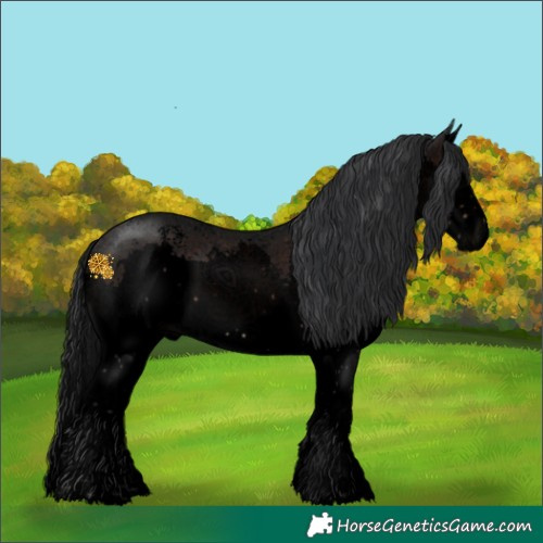 Horse Color:Void Brown Sabino Splash 