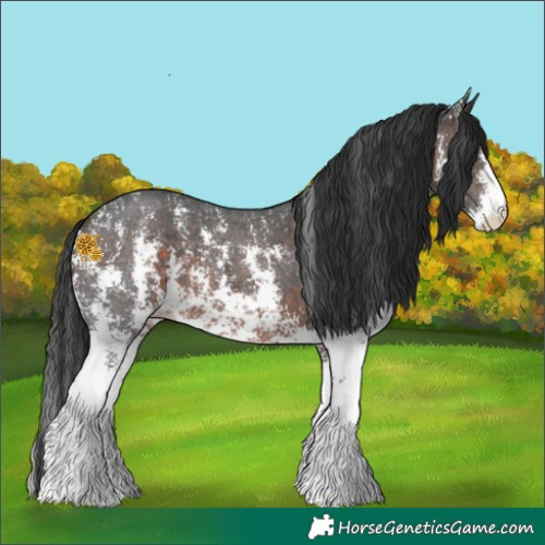 Horse Color:Brown Sabino
