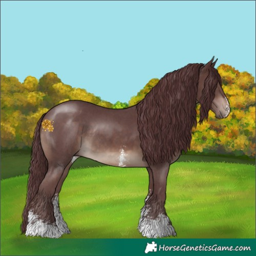Horse Color:Chocolate Brown Sabino Rabicano 