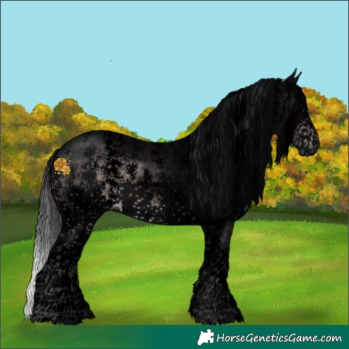 Horse Color:Void Platinum Brown Sabino Splash 