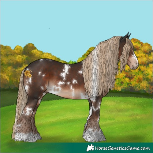 Horse Color:White Spotted Liver Chestnut