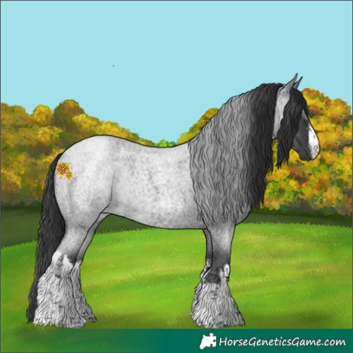 Horse Color:White Spotted Blue Roan