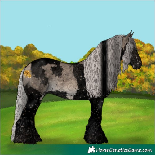 Horse Color:Void Silver Brown Dun Splash Tobiano 