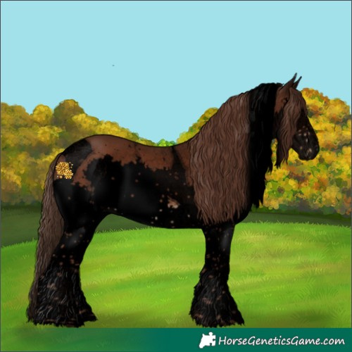 Horse Color:Void Liver Chestnut Splash Tobiano