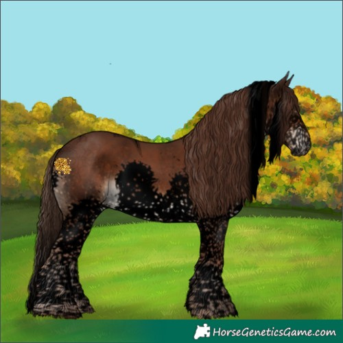 Horse Color:Void Liver Chestnut Splash Tobiano Rabicano 