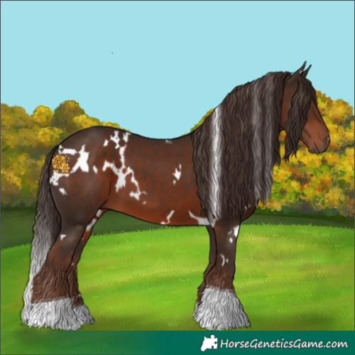 Horse Color:White Spotted Liver Chestnut Tobiano
