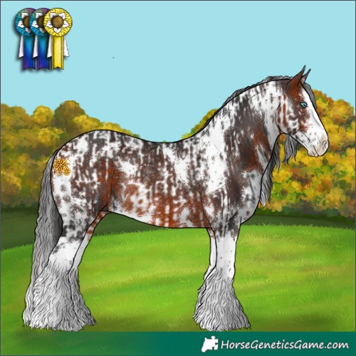 Horse Color:Black Splash Tobiano Frame  and White Spotted Bay Splash Rabicano 