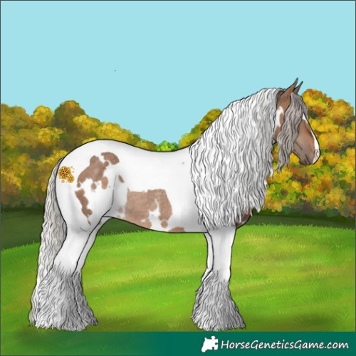 Horse Color:White Spotted Silver Brown Dun Tobiano Rabicano 