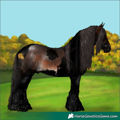 Horse Color:Void Bay Splash Tobiano