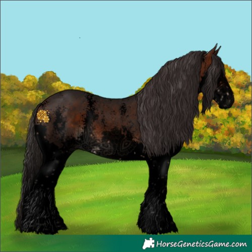 Horse Color:Void Brown Sabino Splash 
