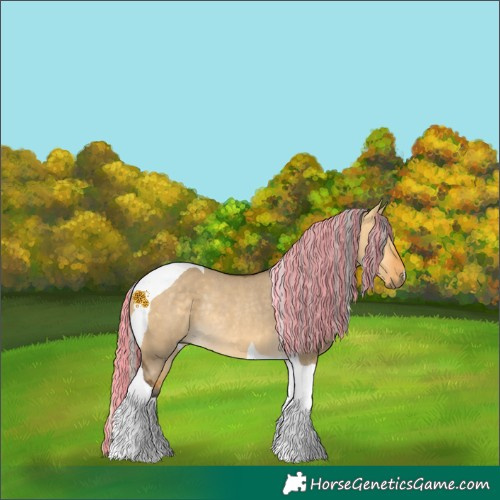Horse Color:Painted Silver Buckskin Dun Tobiano Rabicano