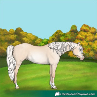 Horse Color:Gray Silver Perlino Dun 